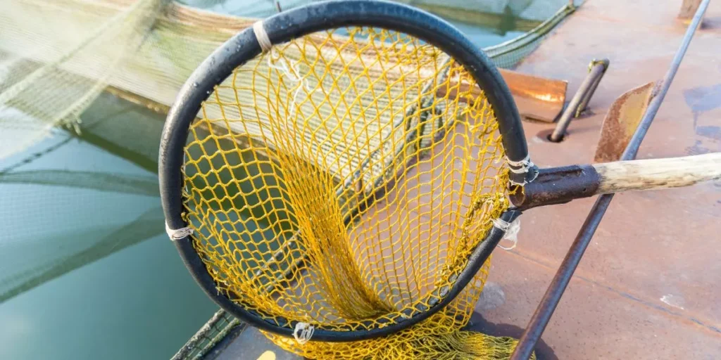 Which Types of Nets Work Best for Handling Fish?